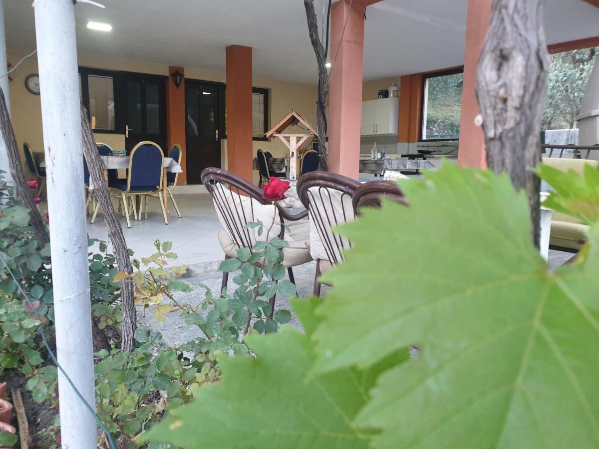 Mijailovic Apartmani Kaluđerac Zewnętrze zdjęcie