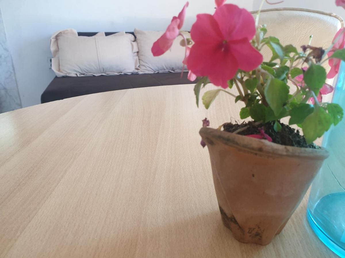 Mijailovic Apartmani Kaluđerac Zewnętrze zdjęcie