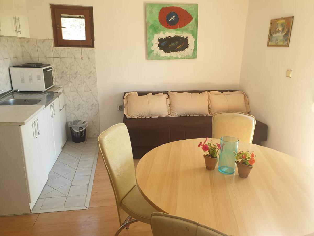 Mijailovic Apartmani Kaluđerac Zewnętrze zdjęcie